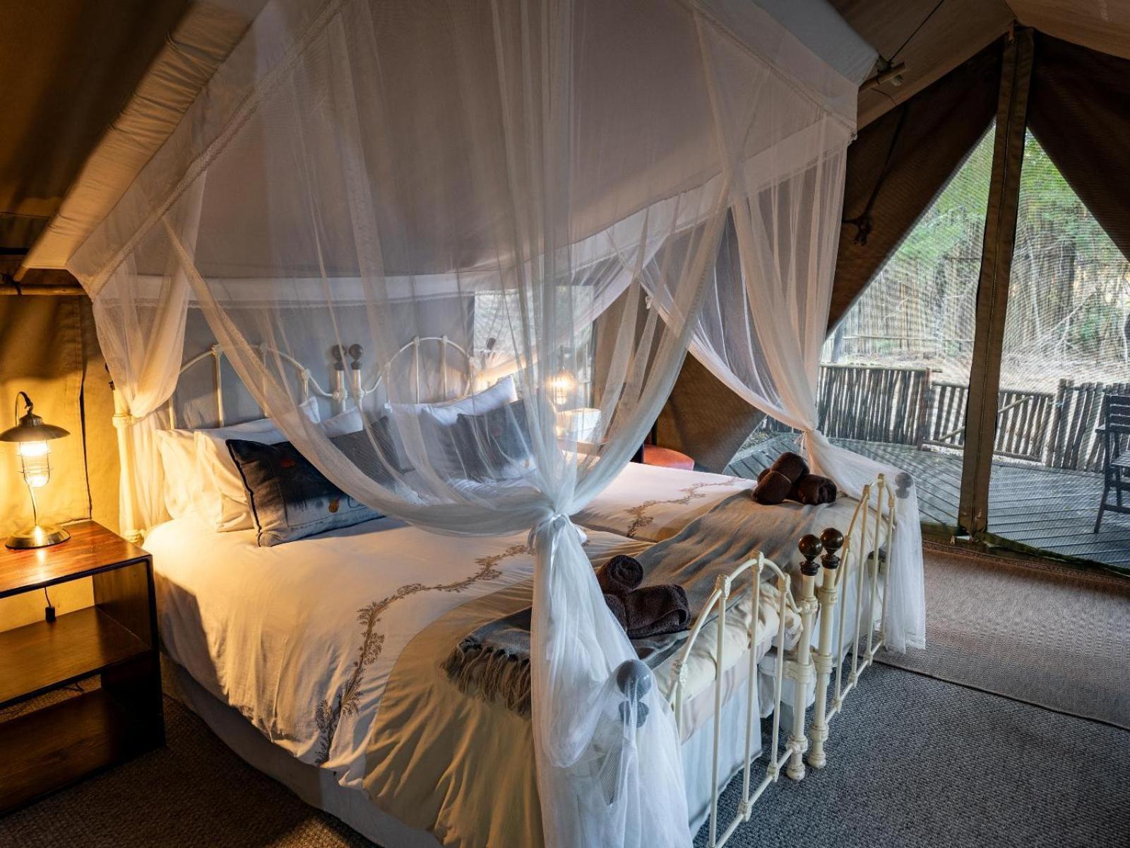 Kwambili Game Lodge Торнибуш-Гейм-Резерв Номер фото