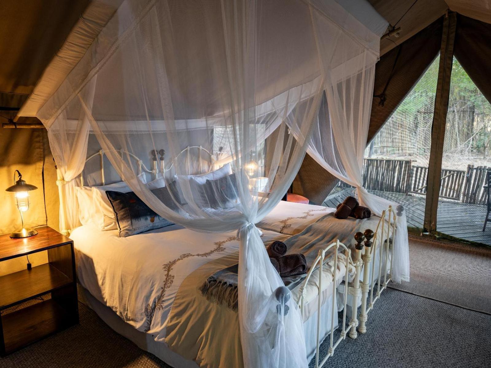 Kwambili Game Lodge Торнибуш-Гейм-Резерв Номер фото